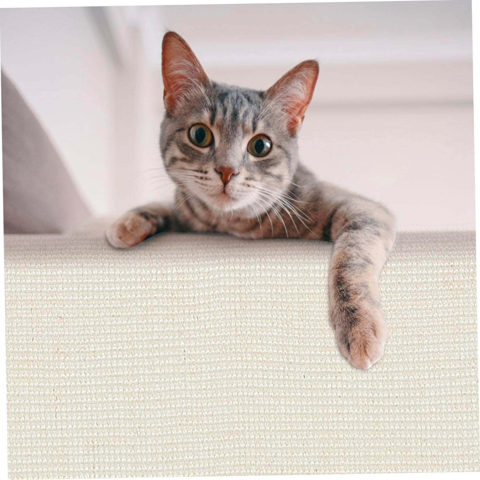 TOYANDONA Protector contra Arañazos Funda Resistente para Sofá Garra de Sisal Antiarañazos y Entretenido para Reposabrazos para Gatos en Oficina o Habitación