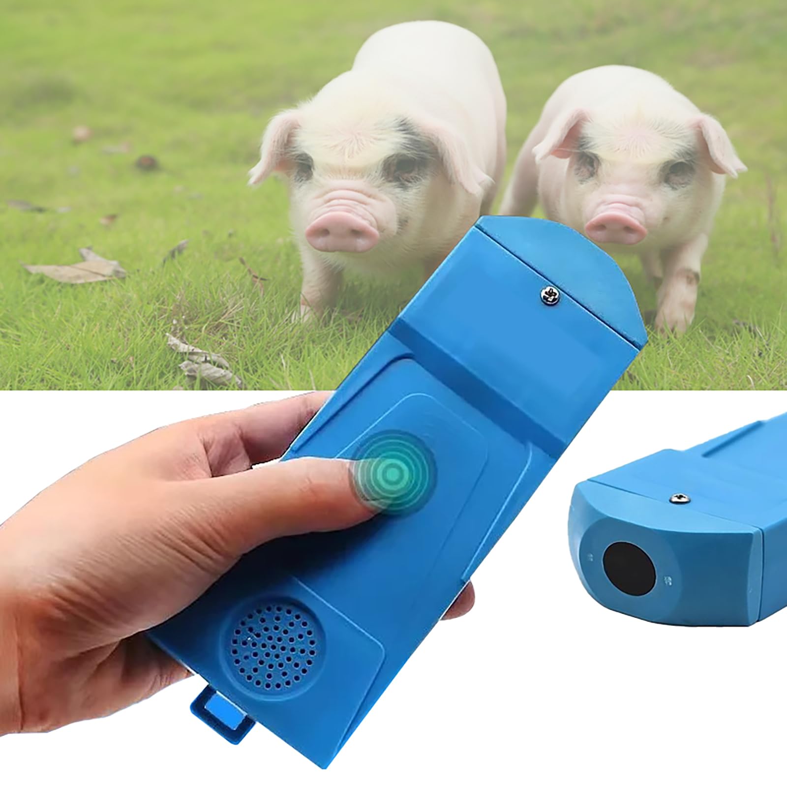 Rilevatore di Gravidanza Veterinario, Scannatore Ultrasuoni A-Modale Portatile per Suini, Agnelli, Capre, Macchina Ecografica Veterinaria Portatile per Animali da Fattoria