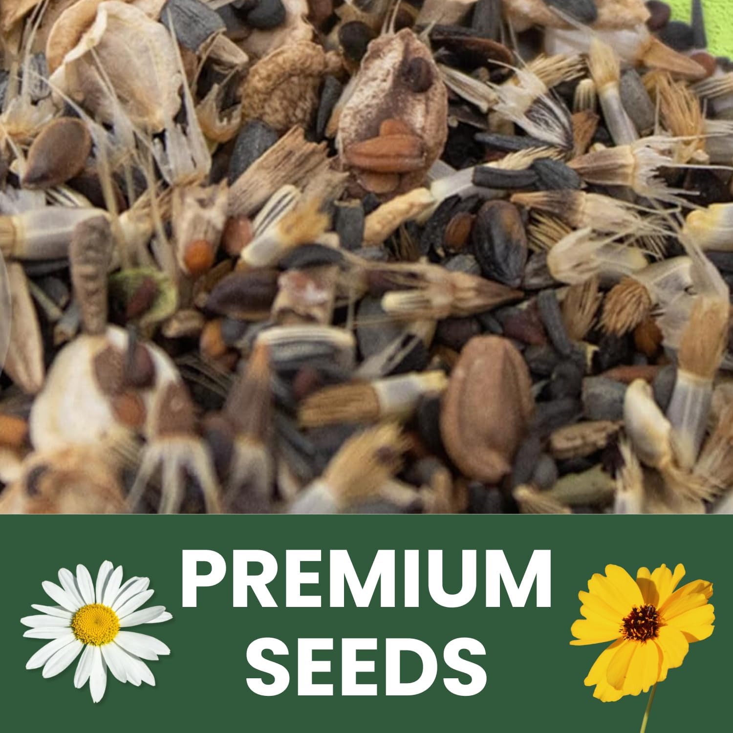 Drought Tolerant Mix – 90,000 Seeds for Planting – 2026 Season – 4 Ounce Pouch
