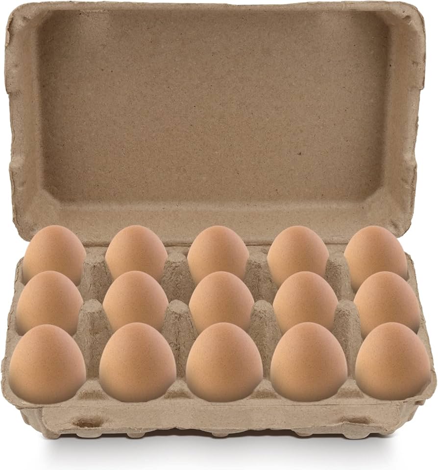 Amazon.com - KEILEOHO 15 Pack Eggs Cartons Bulk, Blank Natural