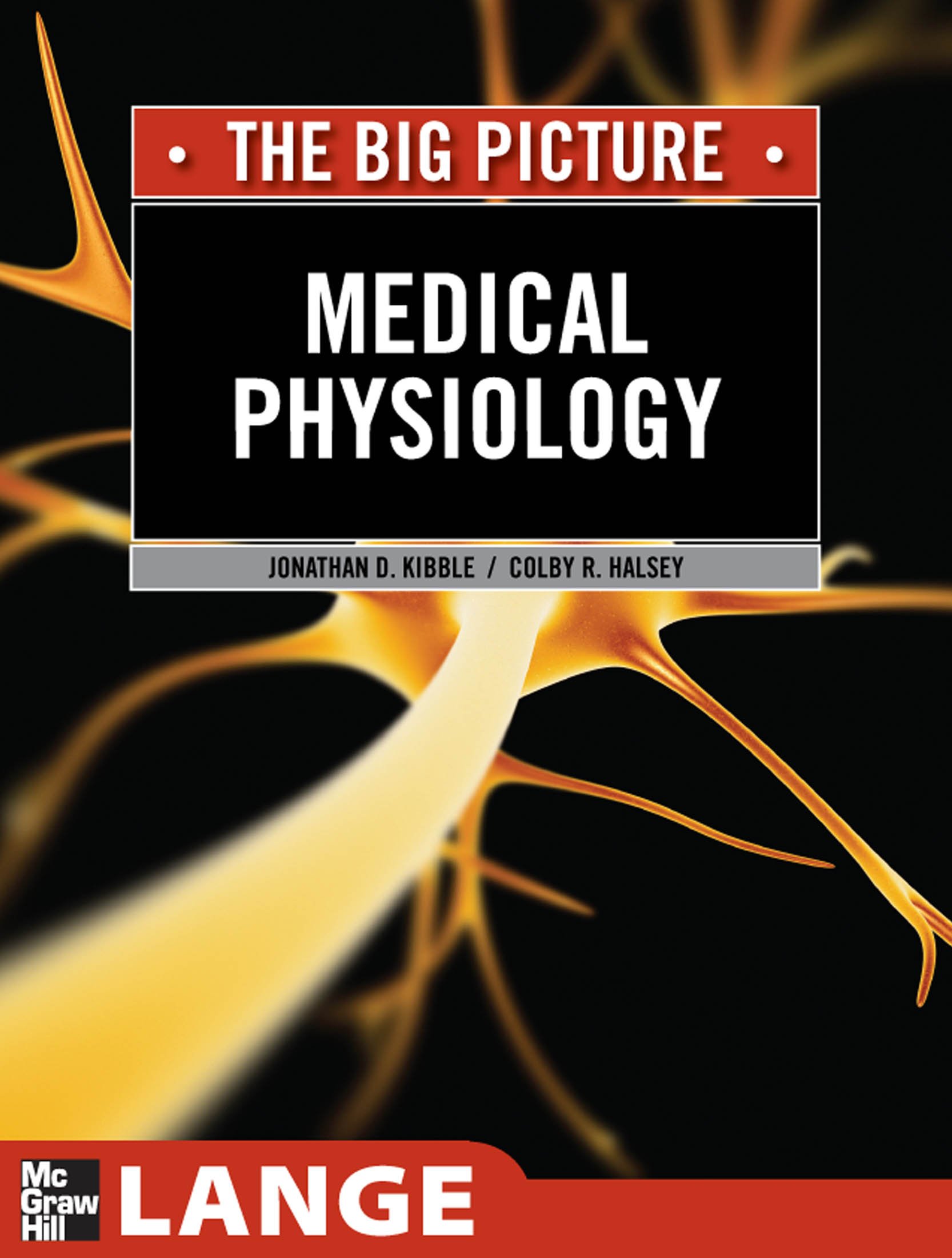 Medical Physiology : The Big Picture (LANGE The Big Picture)