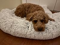 Review Image by Sammi