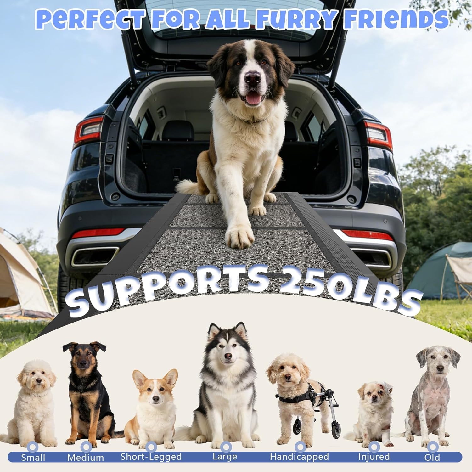 Hunderampe Klappbare Auto 63" × 17", 160cm, Faltbare Haustierrampe für Große Hunde mit Rutschfestem Teppichbelag, Tragbare Hunderampe für SUV, PKW & LKW
