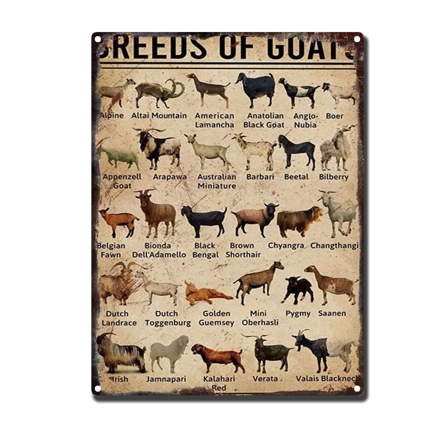 Tin Sign Breeds of Goats Restoring Ancient Ways Garage Home Cafe Bar Farm Wall Bathroom Decor The Mural 12x16inch-Tin Sign