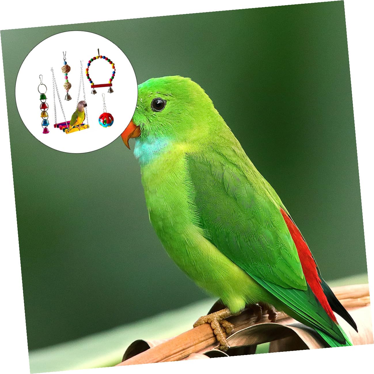 KOMBIUDA 5 Pièces Lot Jouets à Mâcher pour Perroquets Jouets Oiseaux Colorés Sécurisés et Naturels pour Cage Petits Oiseaux