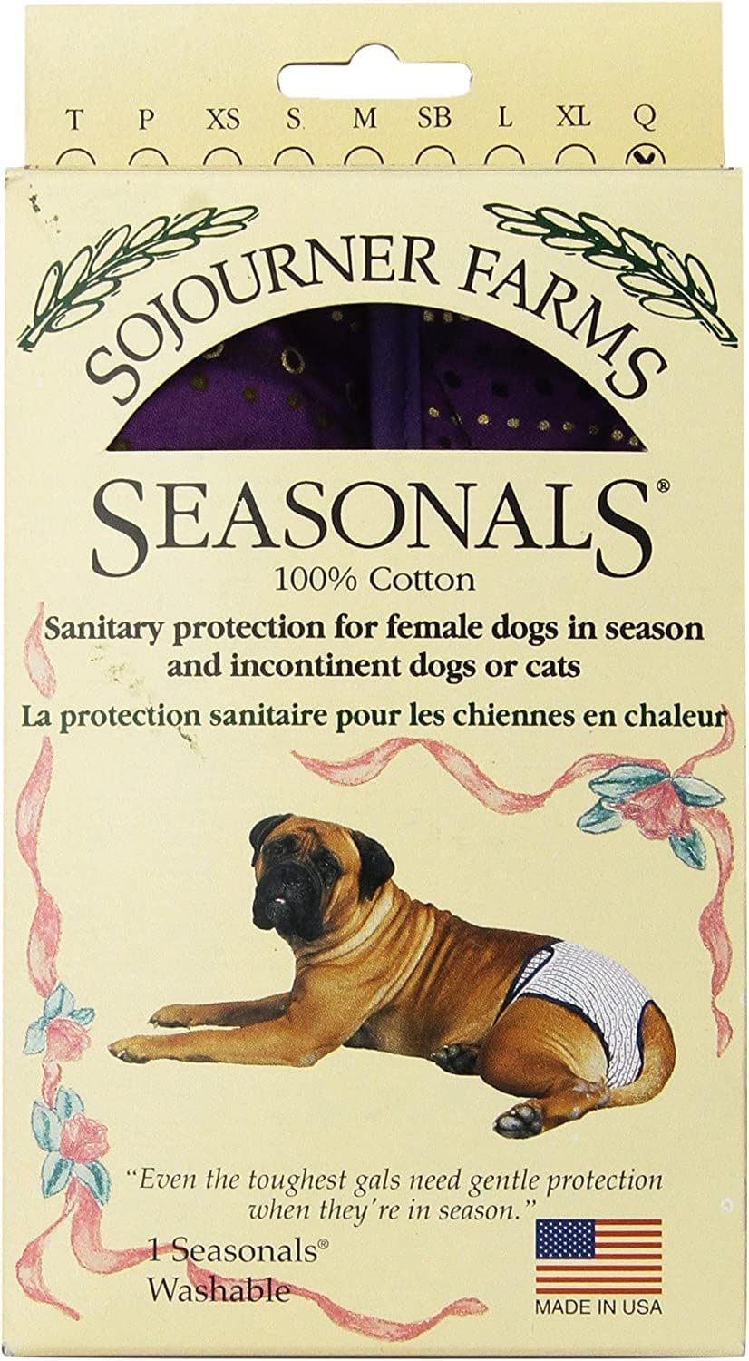 Washable Dog Diaper - Fits Queen Dogs - Zebra