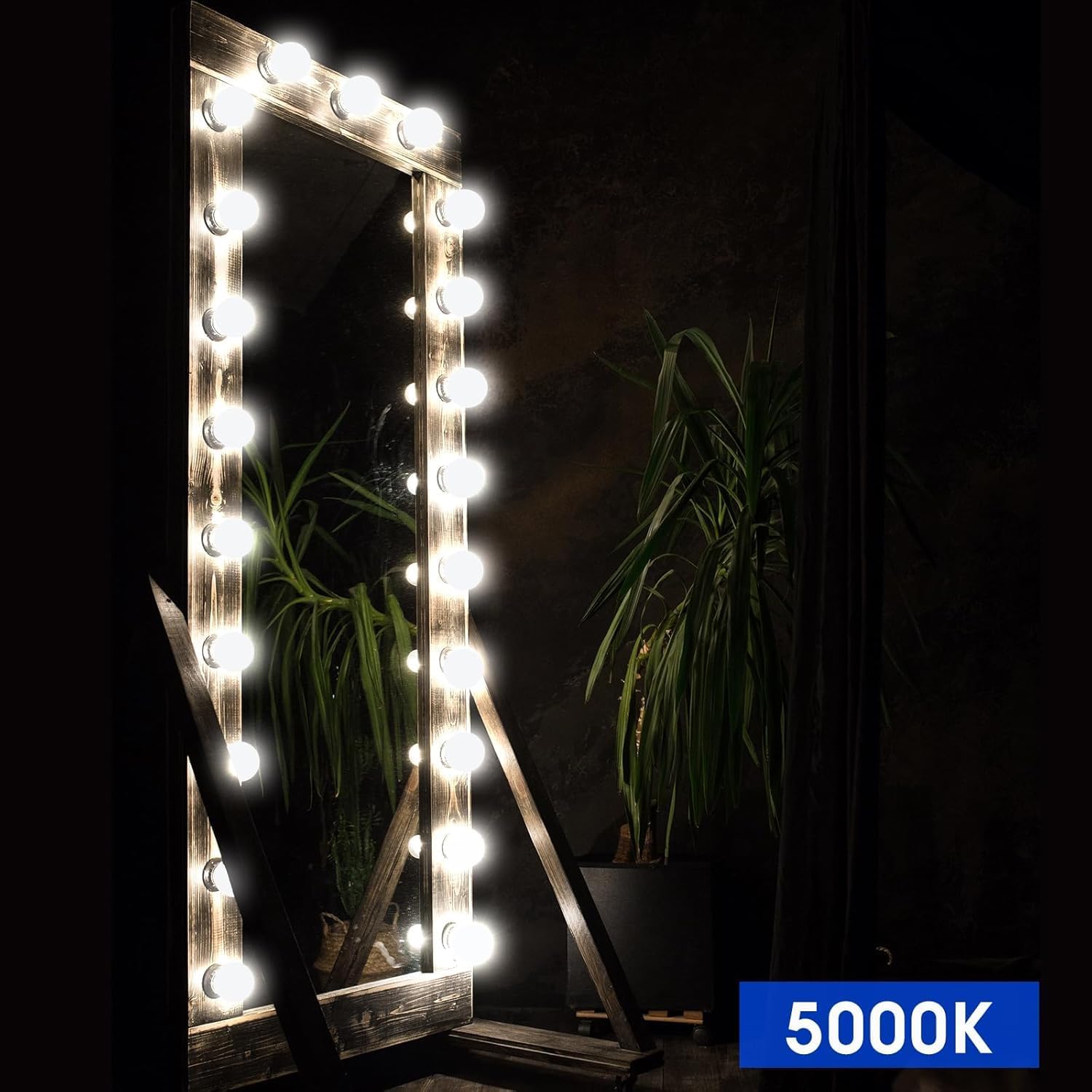 Energetic Vanity Globe Light Bulbs G25 LED for Indoor Bathroom Mirror Living Area, 5000K Daylight, Dimmable 600 Lumens, 6W, E26 Base, Round Frosted Classic Ambient Decorative Bulb, ETL Listed, 4-Pack