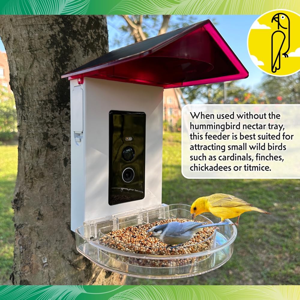 Featherland Paradise Smart House Hopper Hummingbird Feeder