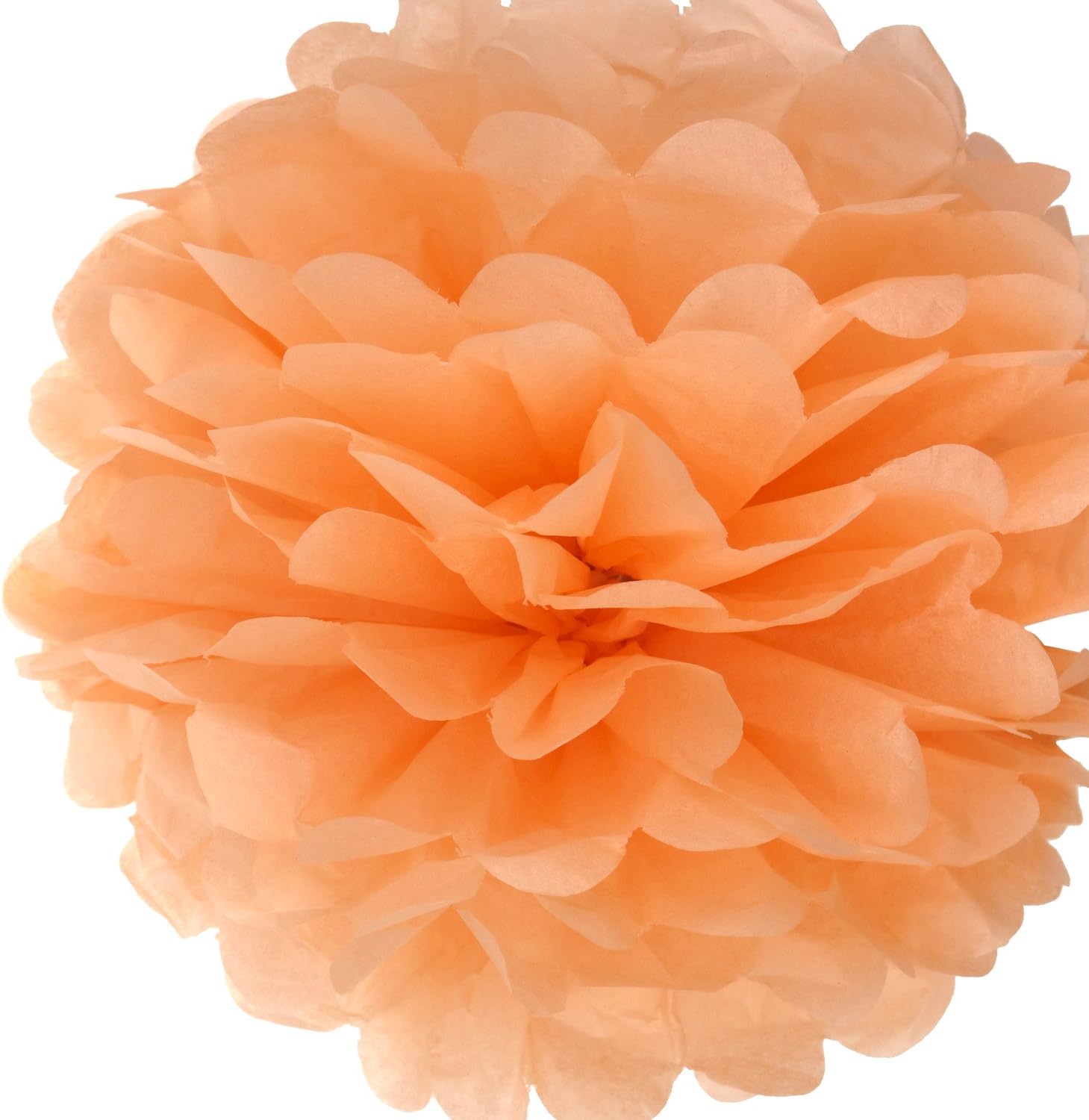 Lightingsky 10pcs DIY Decorative Tissue Paper Pompoms Flowers Ball Perfect for