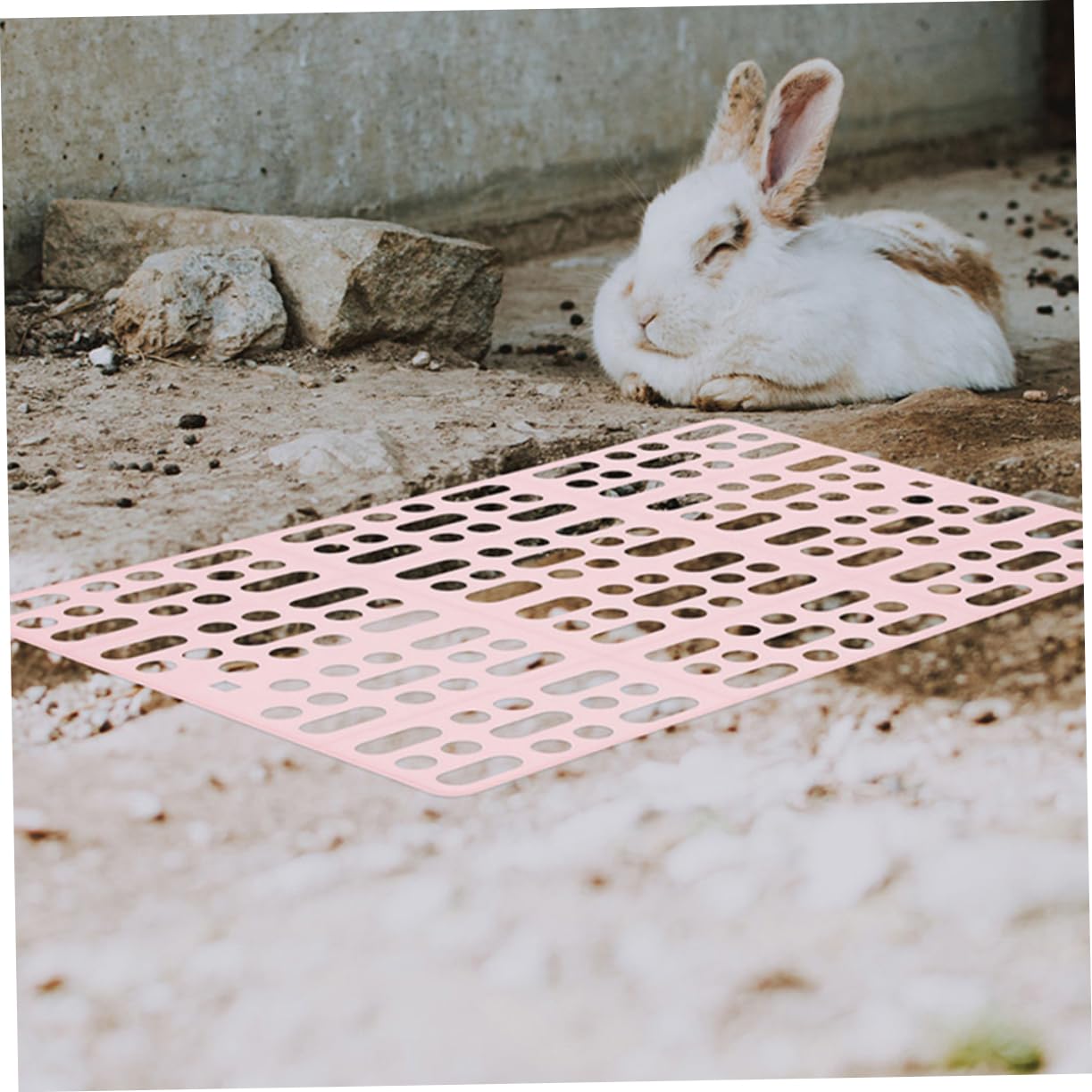 Meerschweinchen Bodenmatte aus Abs 6 Stück-Pack für Käfig Pflegeleicht als Bequeme Ruhefläche für Meerschweinchen und Hunde Hasenstall Zubehör Draußen
