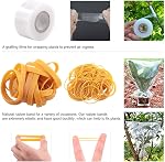 Glarks Kit professionnel de découpe de feuilles de jardin de arbres fruitiers avec rubans en caoutchouc de greffage