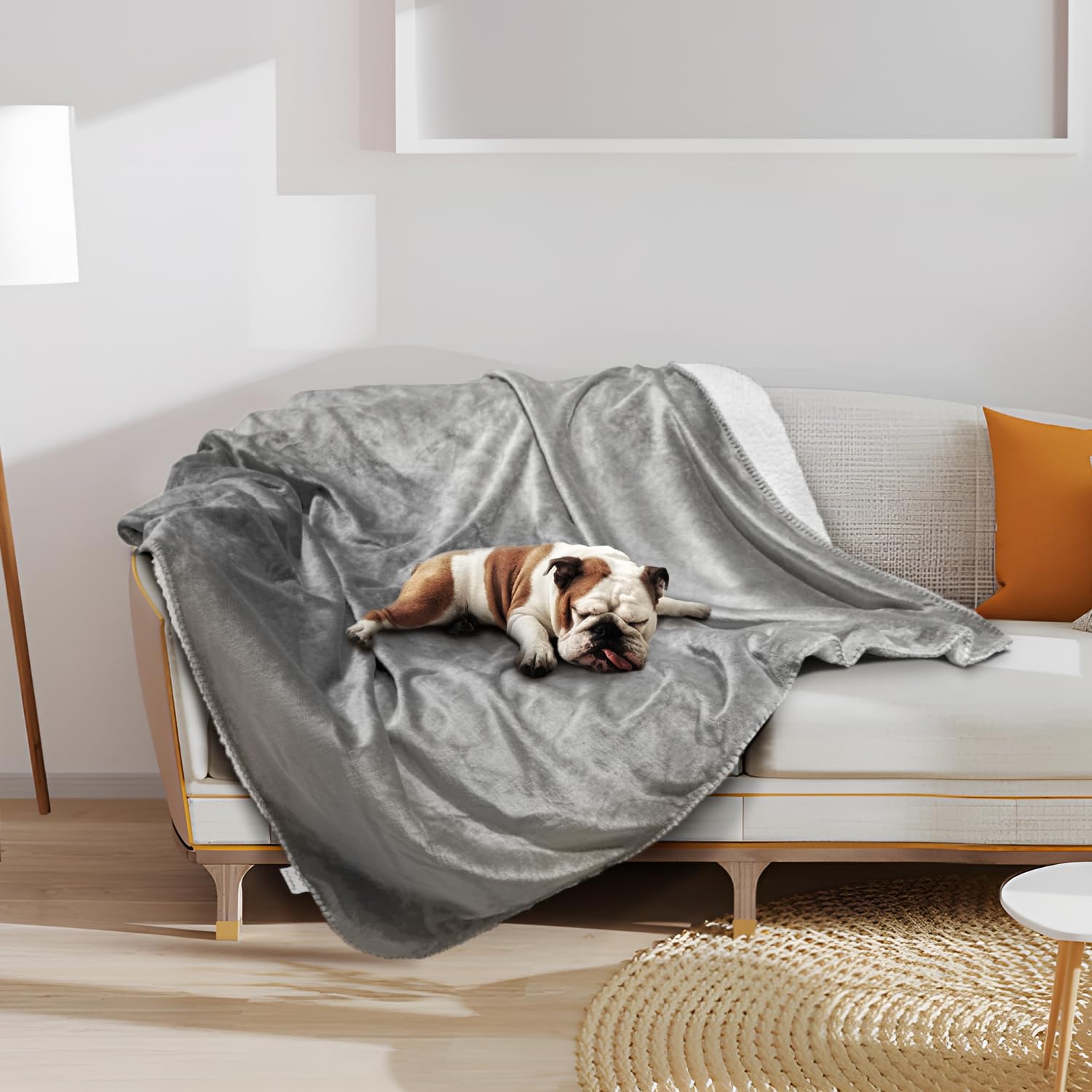 Pawsee Paw Print Waterdichte Hondendeken, Plasbestendige Fleece Sherpa Deken voor Bank en Bed Bescherming, Wasbaar Omkeerbaar Meubelbeschermer Hoes, 150 x 130 cm Pawsee Paw Print Waterdichte Hondendeken, Plasbestendige Fleece Sherpa Deken voor Bank en Bed Bescherming, Wasbaar Omkeerbaar Meubelbeschermer Hoes, 150 x 130 cm