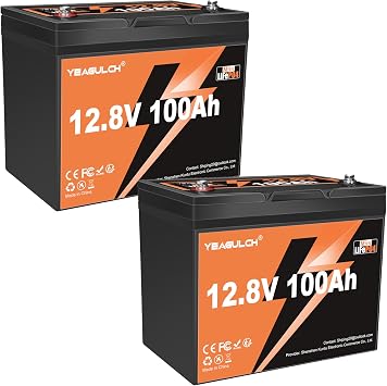 2 Packs 12V 100Ah Mini LiFePO4 Battery Built-in 100A BMS 1.28kWh Rechargeable Lithium Battery Up to 6000 Cycles Perfect for RV Home Energy Storage Camping