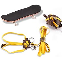 Tortoise Leash and Training