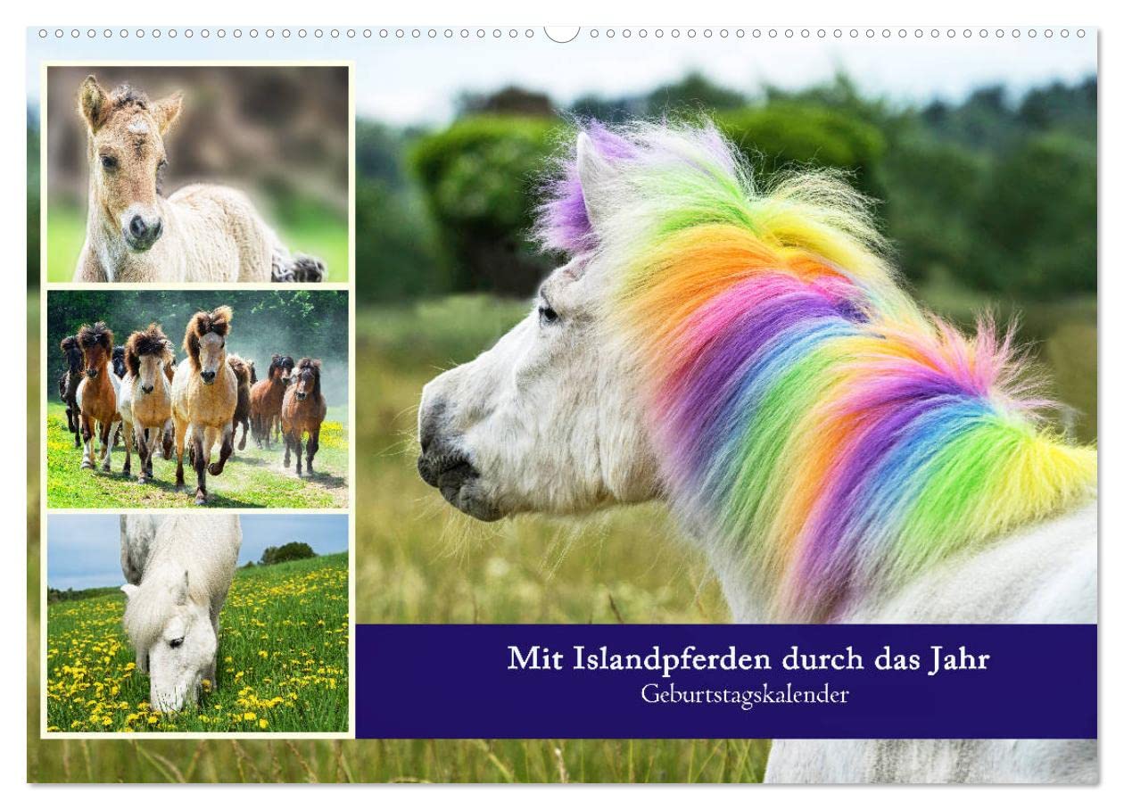 Mit Islandpferden durch das Jahr Geburtstagskalender (Wandkalender 2026 DIN A2 quer), CALVENDO Monatskalender: Islandpferde, Termine, Geburtstage, Events (CALVENDO Tiere)
