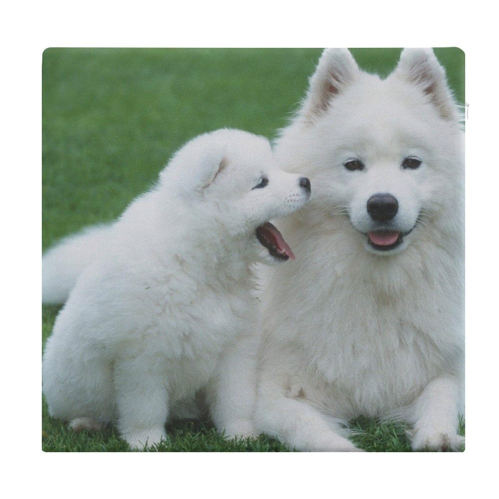 JZemdybill Chair Pad, Samoyed Dog Seat Pad, Square Chair Cushion for Yoga Living Room Balcony