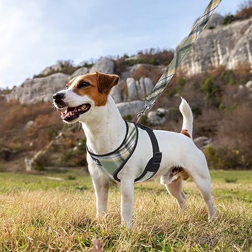 Miniatura 449 de Pupteck - Arnés para perro, chaleco de malla suave con relleno cómodo para cachorros, perros y gatos, evita los tirones, color negro y blanco