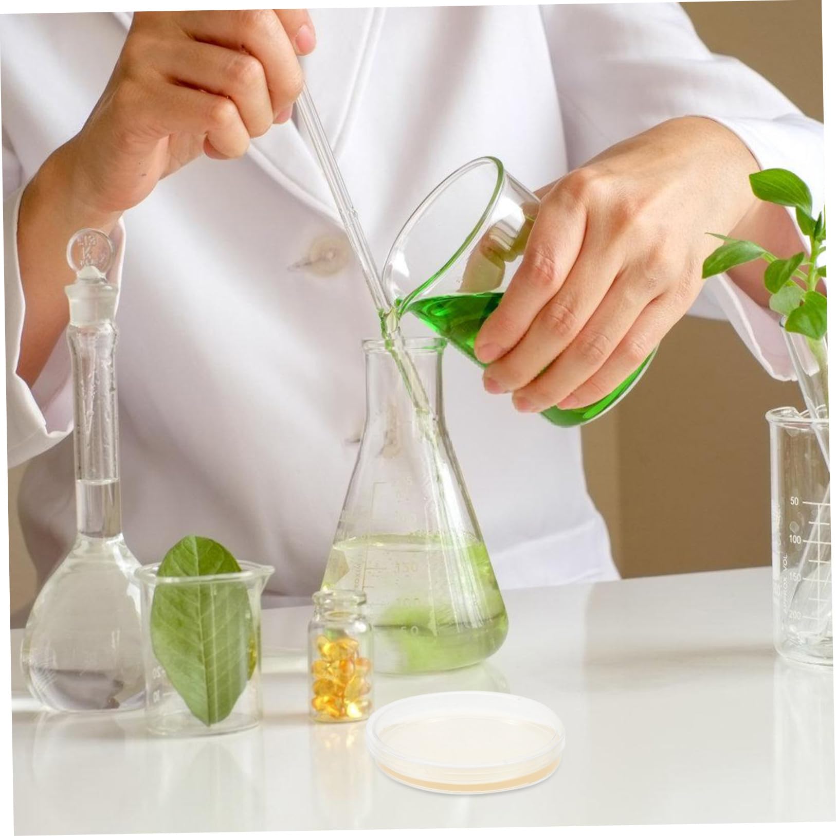CLISPEED Placas de Agar Nutritivo para Laboratorio de 9 CM, 20 Placas de Petri de Plástico Estériles Tapa para Cultivo de Hongos y Experimentos Científicos