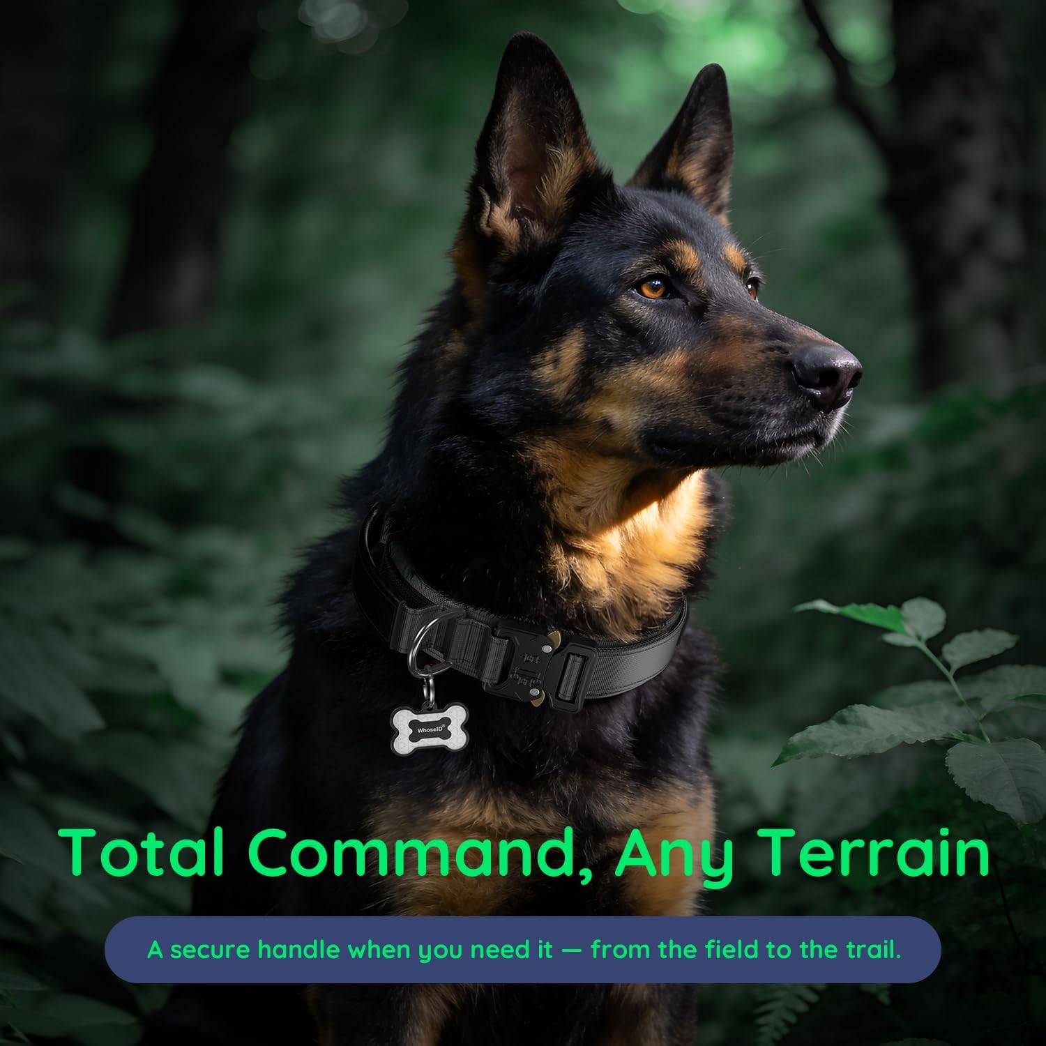 WhoseID Premium Tactical Dog Collar - Adjustable Military Heavy Duty Dog Collar for Medium Large Dogs - Durable Metal Buckle Dog Collar with Leather Control Handle and Soft Comfortable Padding