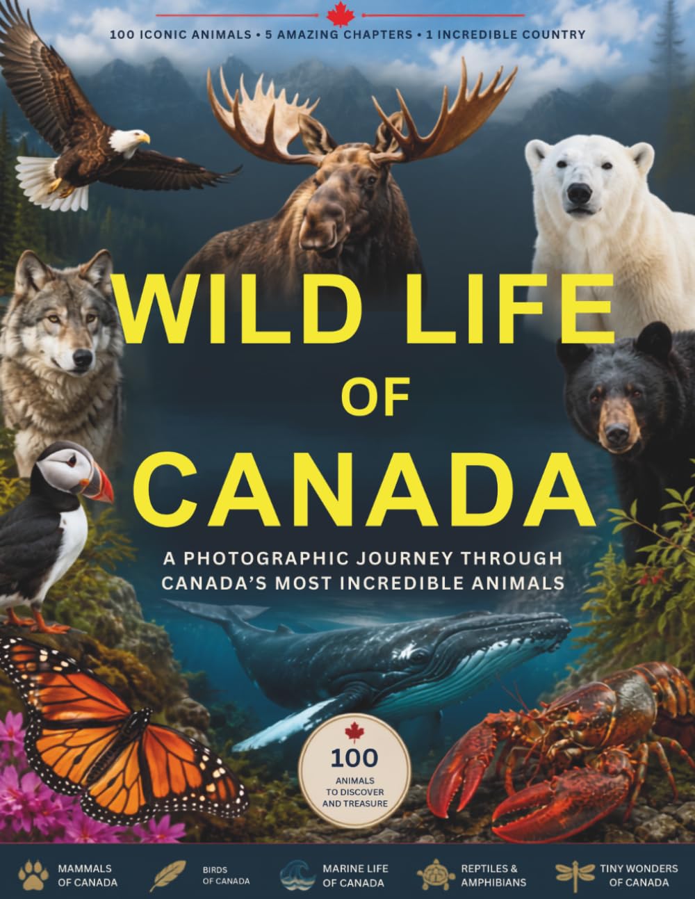 Amazing Animals of Canada: A Wildlife Picture Book Featuring Stunning Photographs and Fascinating Facts