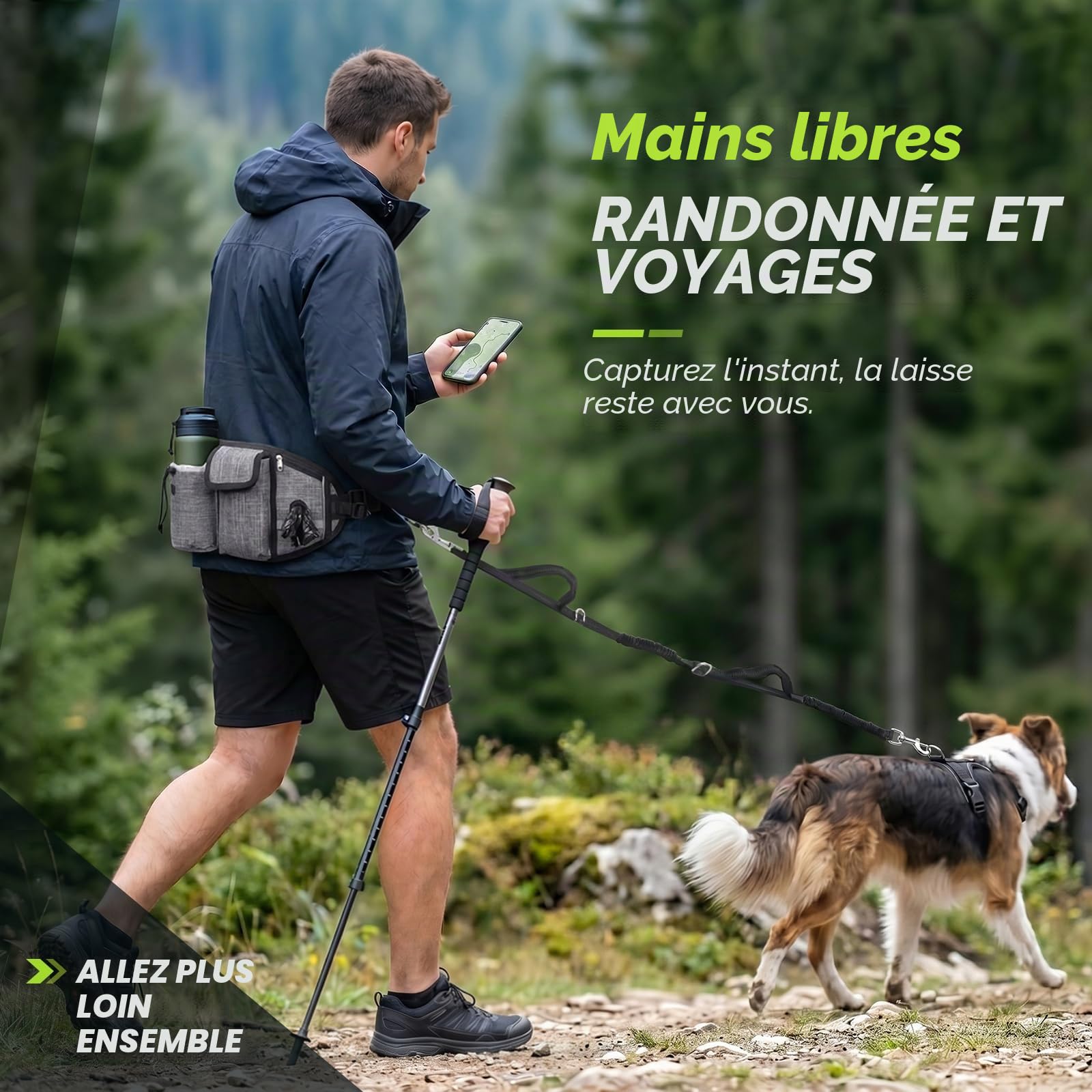 Pecute Laisse Canicross Chien Mains Libres Jusqu'à 50kg Absorption de Choc Couture Réfléchissante