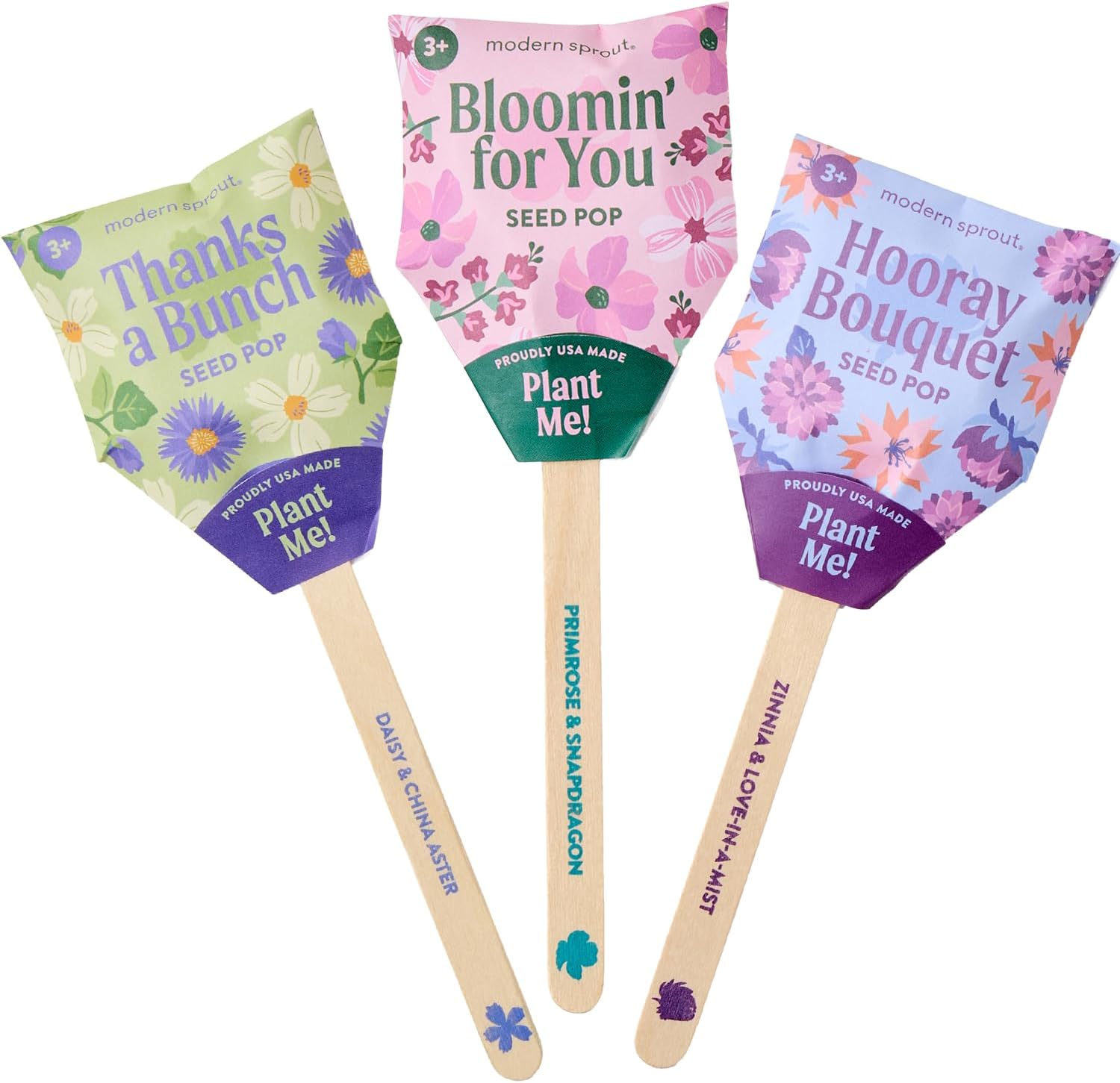 Modern Sprout Seed Pops - Organic Non-GMO Humble Bee Butterfly & Song Bird Wildflower Seeds - Ideal for Indoor & Outdoor - Easter Basket Essentials - Gift for Kids Adults & Plant Lovers (Pack of 12)