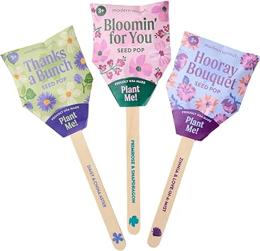 Modern Sprout Seed Pops - Organic Non-GMO Flower Seeds - Pack of 12 | Includes Hooray Bouquet Bloomin for You & Thanks-a-Bunch Wildflower Seed-Spring Activity for Kids-Ideal for Indoor & Outdoor
