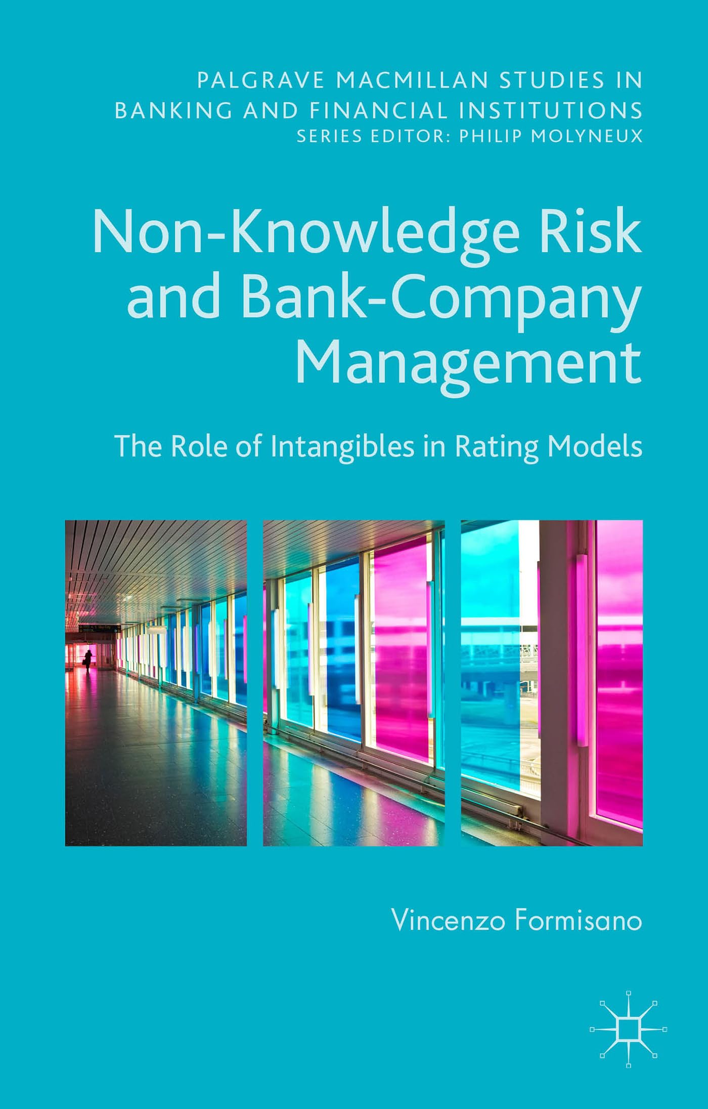 Amazon.com: Non-Knowledge Risk and Bank-Company Management: The Role of ...