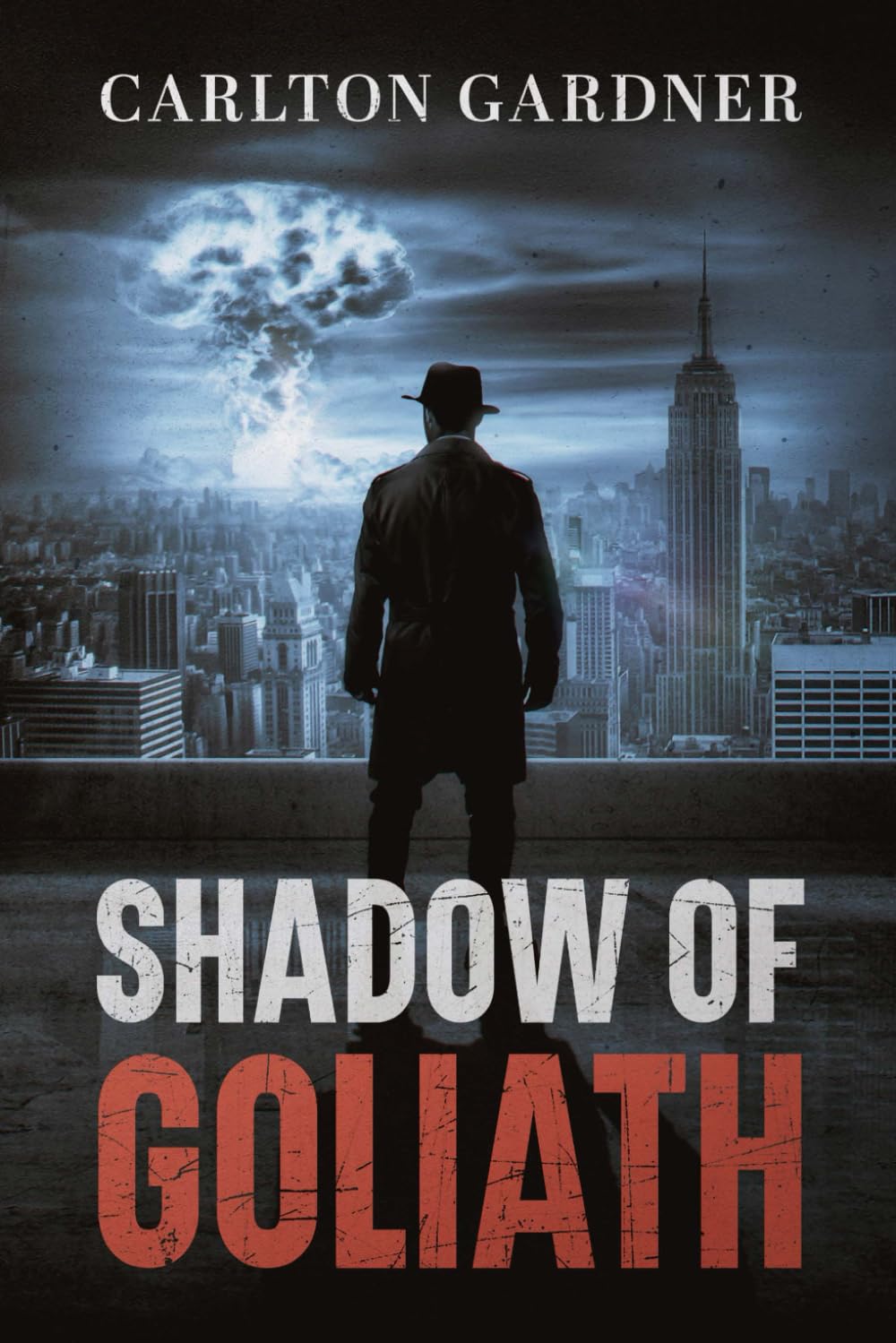 Shadow of Goliath: Hidden Nuclear Deterrents      Paperback – July 28, 2025