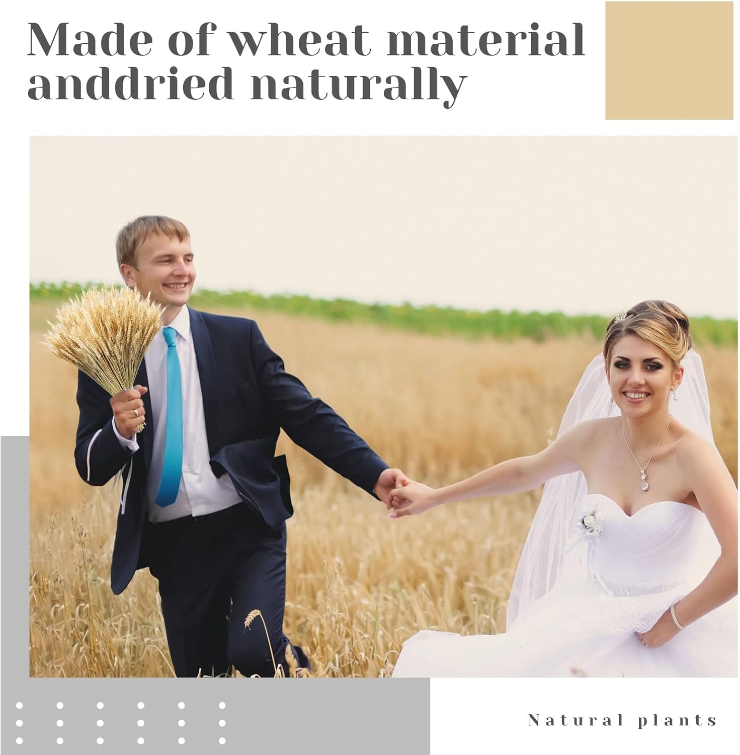 Geosar 1800 Stems Dried Wheat Stalks for Decor Natural Wheat Grass Sheaves Bundle Farmhouse Artificial Flowers Arrangement for DIY Wedding Table Home Centerpieces Party Decorative (16 Inch)