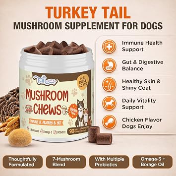 Turkey Tail Mushroom for Dogs & Cats, Immune & Gut Mushroom Chews for Dogs
