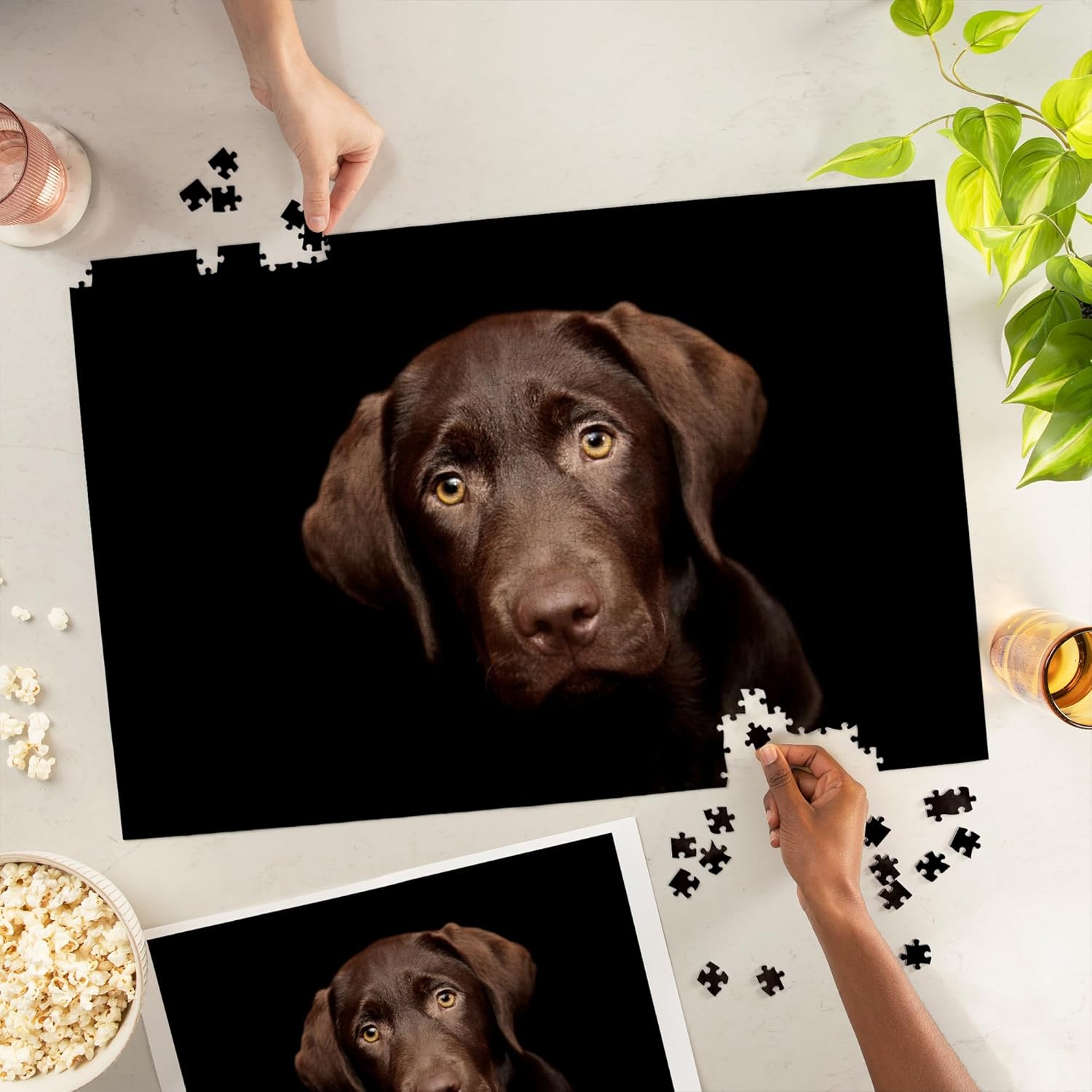Chocolate Labrador Puppy (1000 Piece Puzzle, Challenging Jigsaw Puzzle for Adults, Made in USA)
