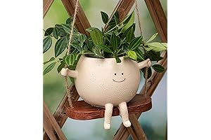 Cute Swinging Planters with Smiley Face