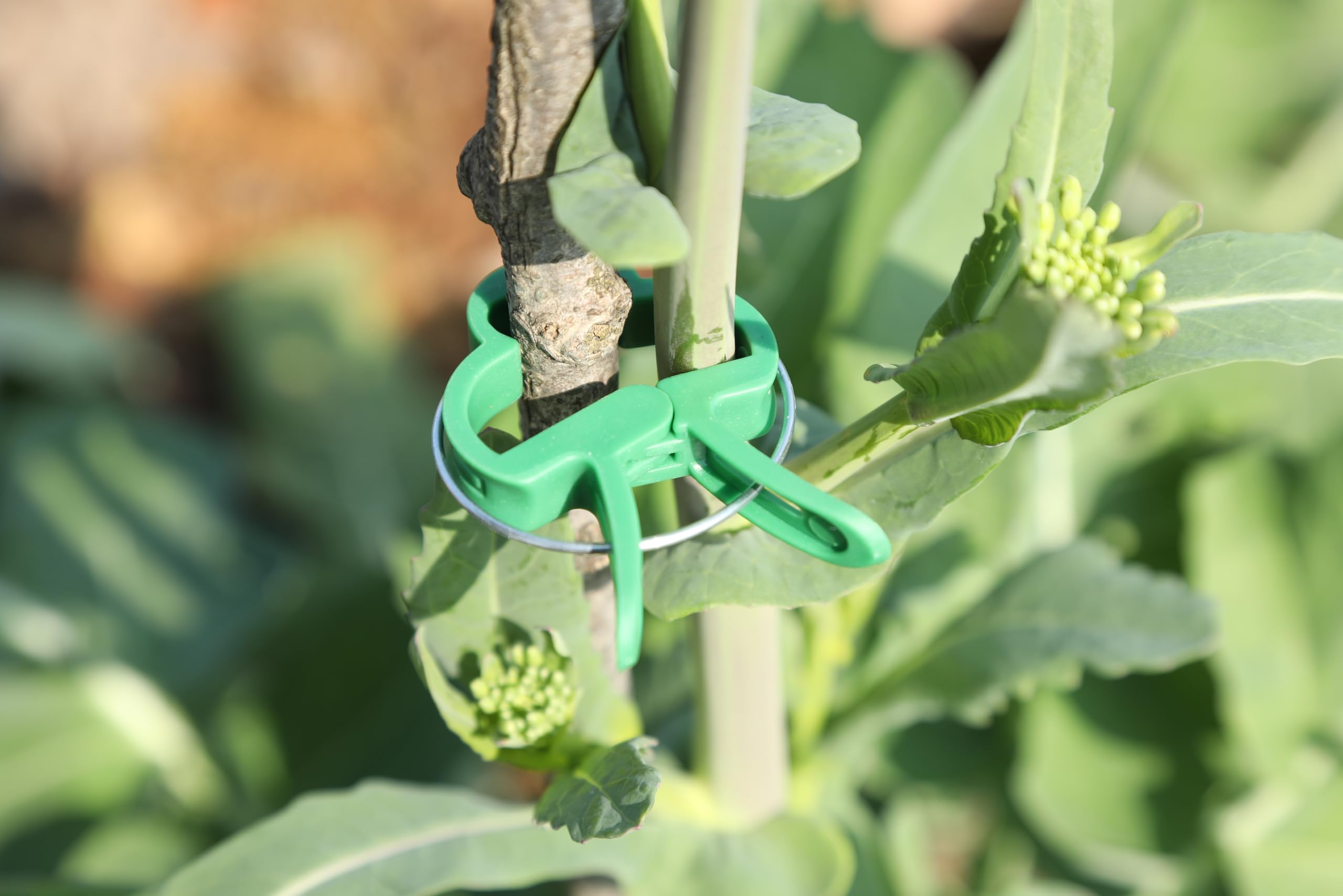 10 pezzi bastoncini di supporto per piante clip per supporti per fiori aste per orchidee bastoncini per piante per il supporto di piante rampicanti pomodoro fornure per giardinaggio  15