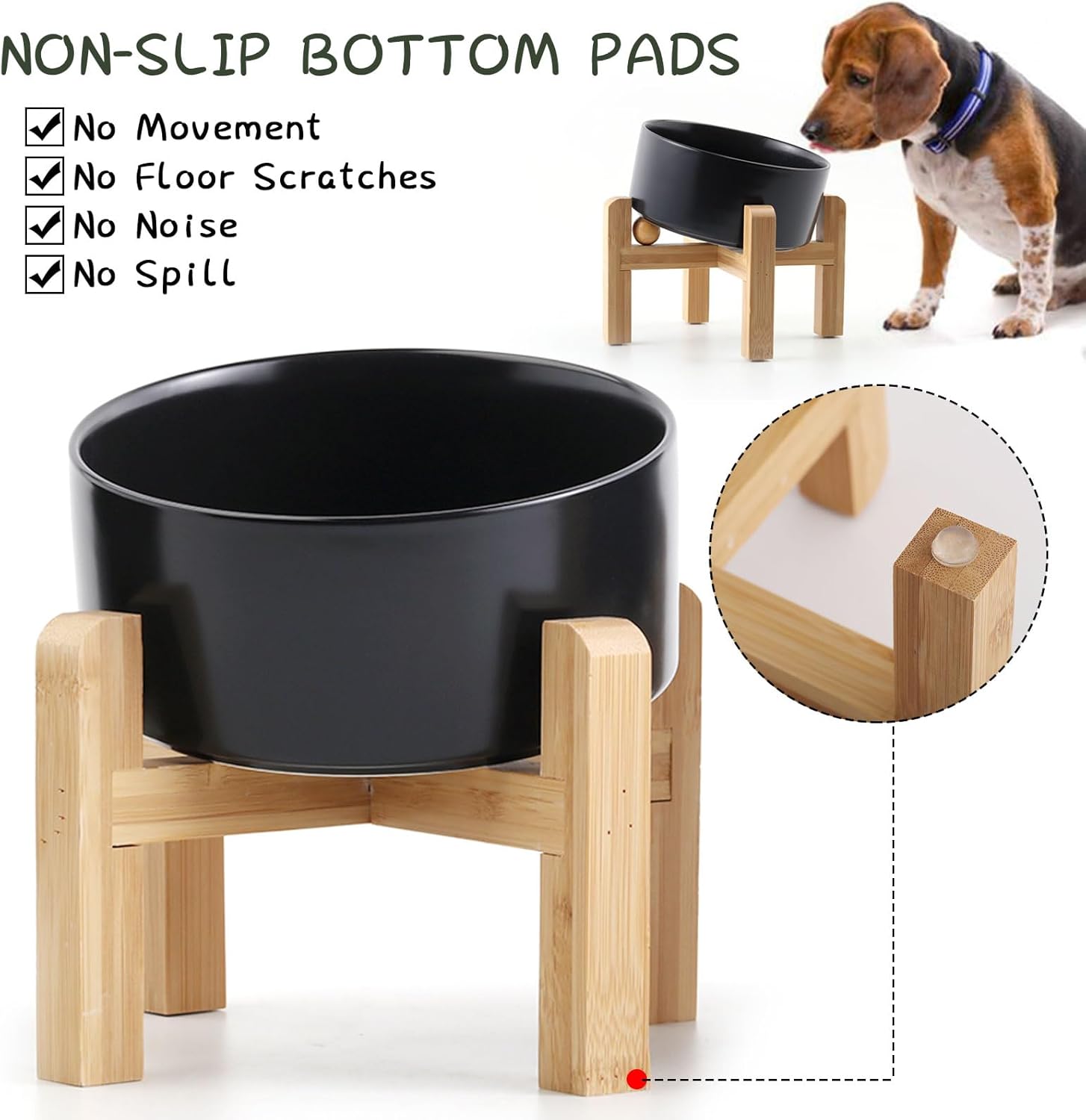 Elevate Your Pet