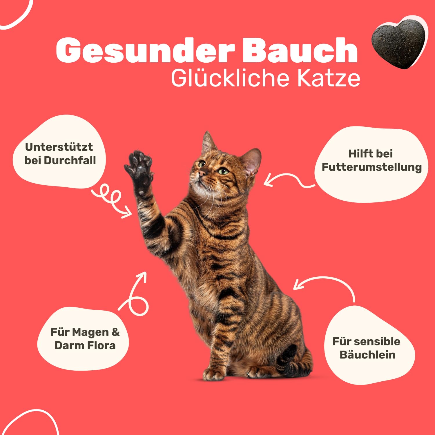 9-in-1 Probiotika für deine Katze | Unterstützt die Verdauung von Katzen | Ergänzungsfuttermittel für Katzen | Bei Durchfall Katze | Flohsamen & Löwenzahnkraut | Tierärztlich entwickelt | Patsli Belly