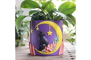 Moon Cat Cute gugugo Planter: Vibrant Rainbow Haven for Indoor Plants