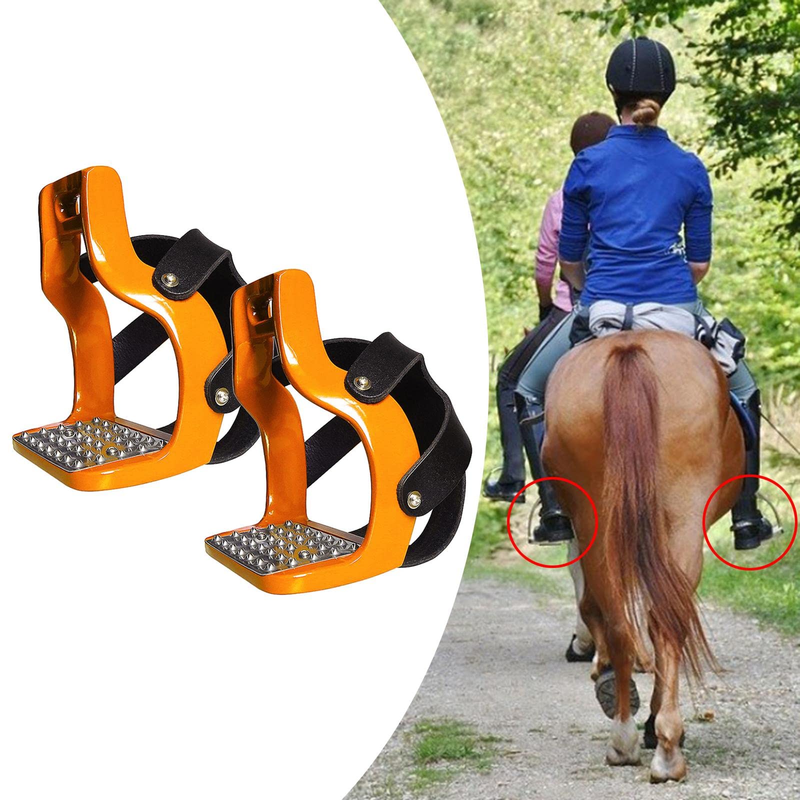 5 Colores Caballo Acero Inoxidable Ligero para Montar