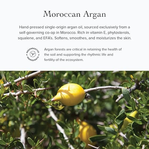 Miniatura 7 de evanhealy Sanctuary Nectar Serum | Suero facial sin aceite esencial orgánico para pieles sensibles | Multi-Omega tópico para piel