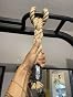 Customer review image for Improve your grip strength