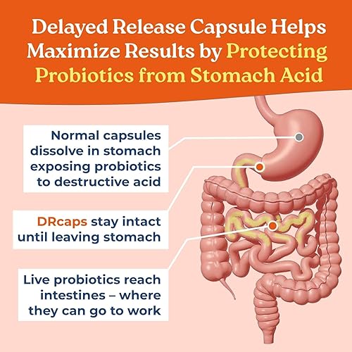 Miniatura 5 de True-Life-PB Mezcla probiótica y prebiótica estable en estantes sin lácteos para hombres y mujeres