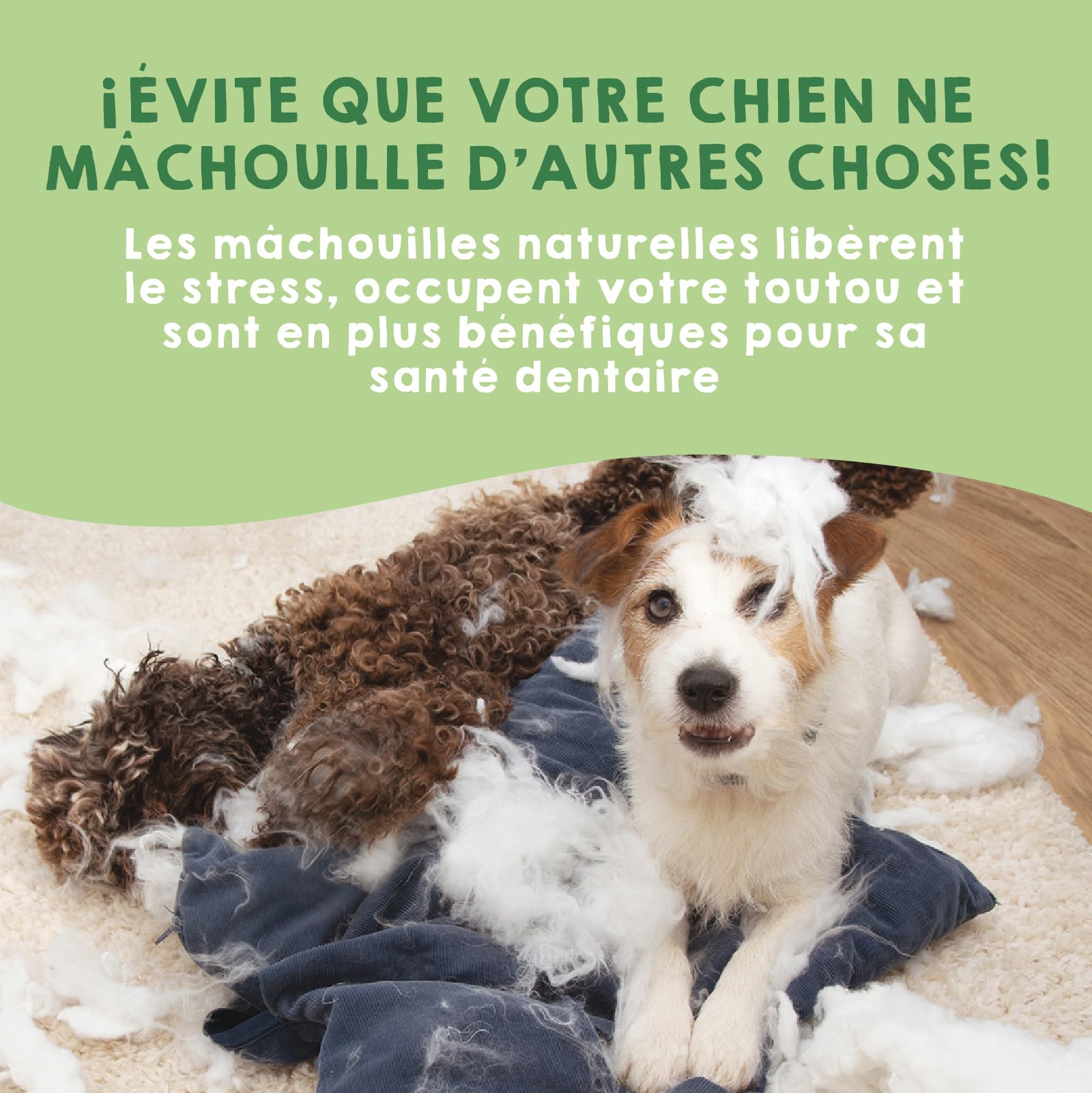 Fromage de Yak pour Chien Mastication Naturel Macher Longue Durée Soin Dentaire Recette Himalaya pour Chiens Pesant Entre 10 et 15 kg - Pack 3 Taille M