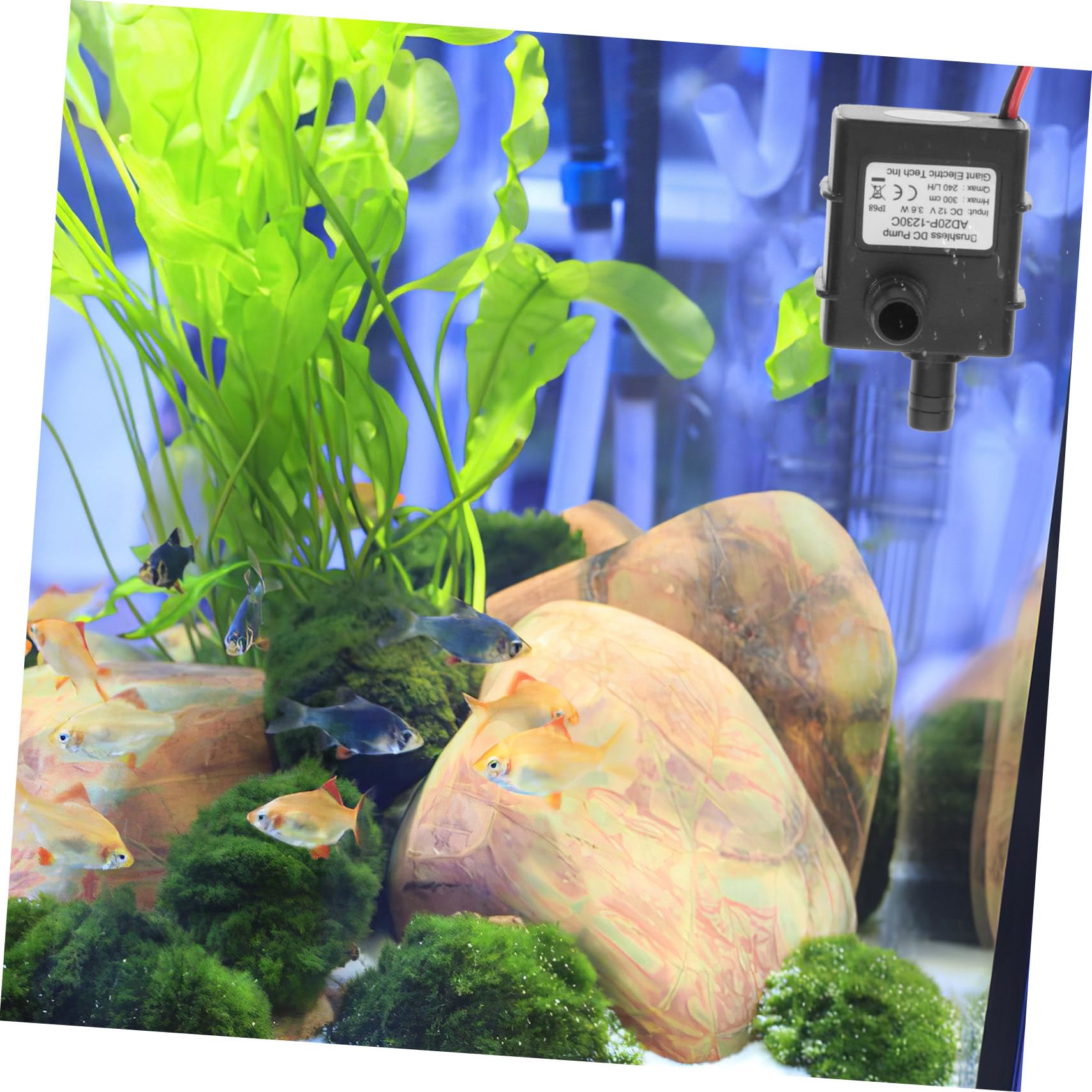 Pompa Sommergibile Brushless Mini Dc 12v 3,6w per Acquario