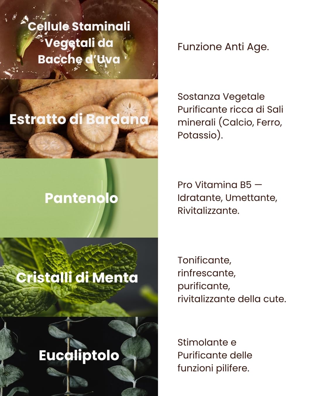 VINCENT.H Trattamento Cuoio Capelluto Tonico – Soluzione Rinfrescante