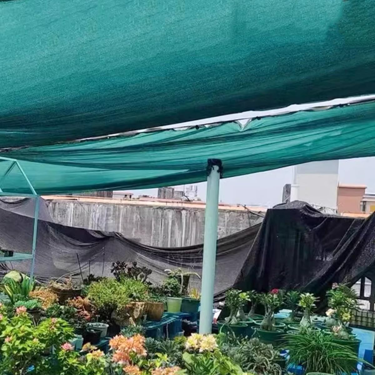 90 % para invernaderos, color verde Reu con ojales, disponible en 2 x 4 m, 4 x 5 m, 6 x 8 m, 10 x 10 m, ideal para jardín y balcón Pera (8,5 x 12 m)
