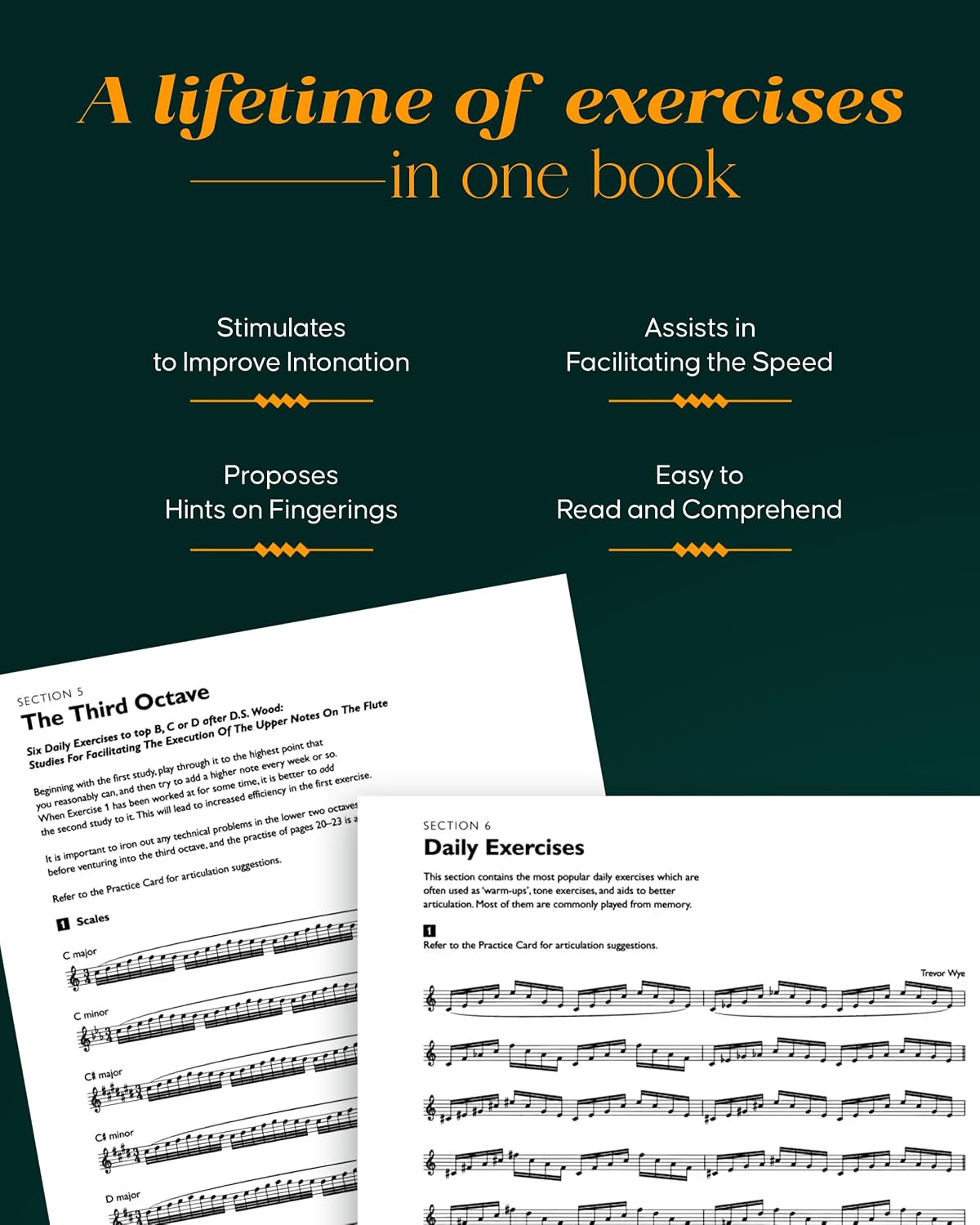 Complete Daily Exercises for the Flute - Essential Practice Material for all Intermediate to Advanced Flautists |Practice Book with Warm-Ups, Scales, ... Studies for Daily Mastery (Flute Tutor)