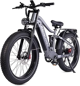 Electric Bicycle，26 Inch Off-Road EBIKE for Adults with 48V 25AH Detachable Lithium Ion Battery, 7 Speed with Dual Shock Absorbers and Dual Hydraulic Disc Brake(Black)