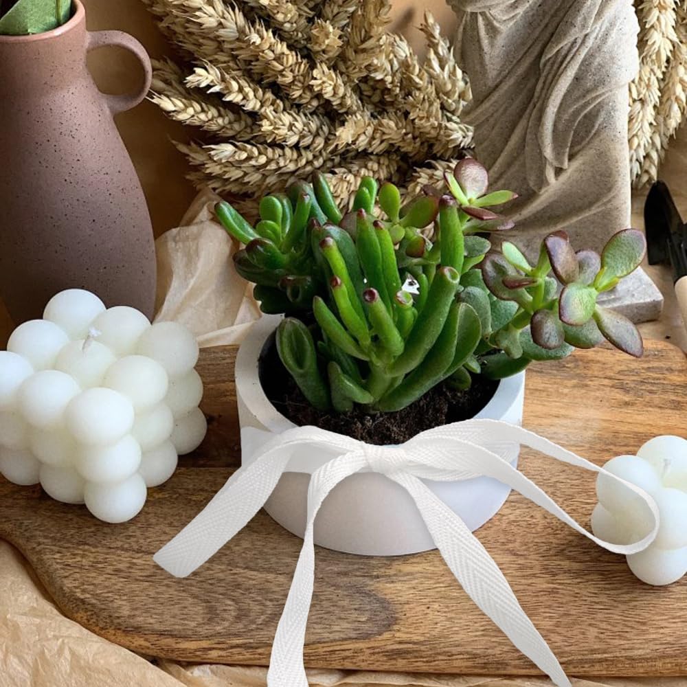 Sangle Couture Ruban De Biais 50m X 2,5 Cm Biais Coton à Chevrons Ruban En Sergé De Coton Naturel Biais En Coton Pour DIY Craft Travaux Manuels