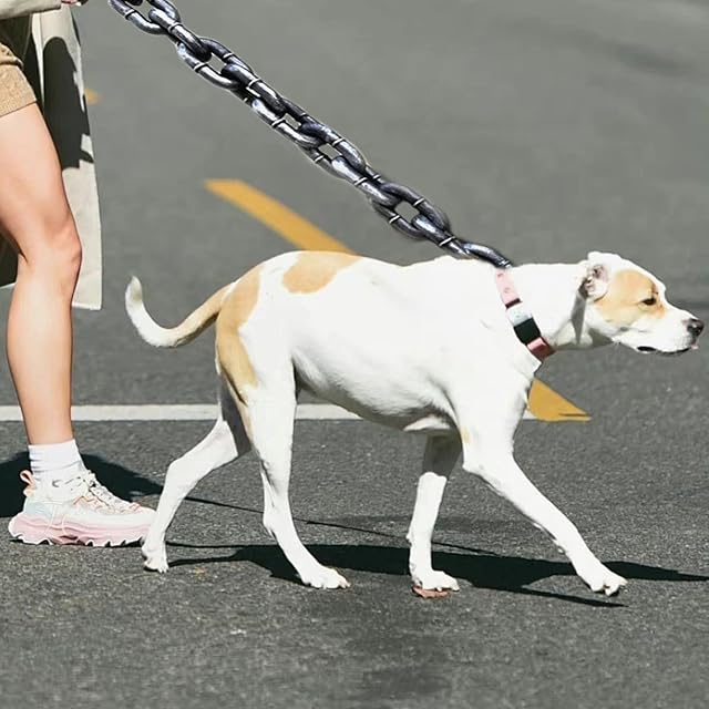 Foto 4 de 6 de HUAJINGKEJI Correa de imitación de hierro para mascotas para perros pequeños, ligera, cadena de hierro falso