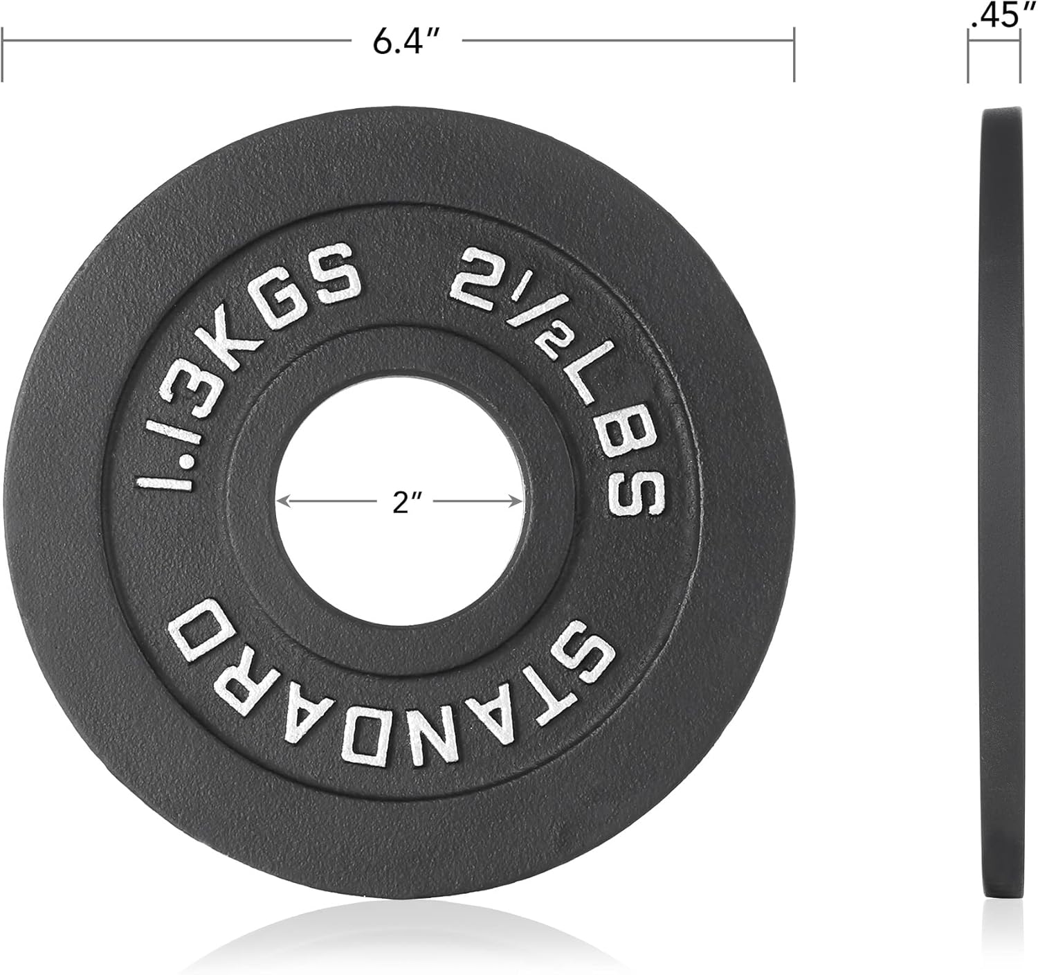 Philosophy Gym Set of 2 Cast Iron Olympic 2-inch Weight Plates
